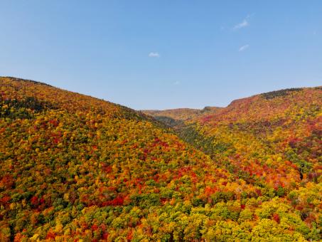 Free Stock Photo of Fall foliage mountains
