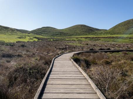 Free Stock Photo of Walking path