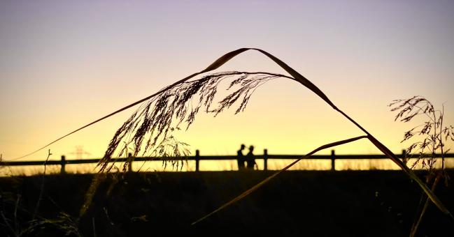 Free Stock Photo of Sunset people silhouette