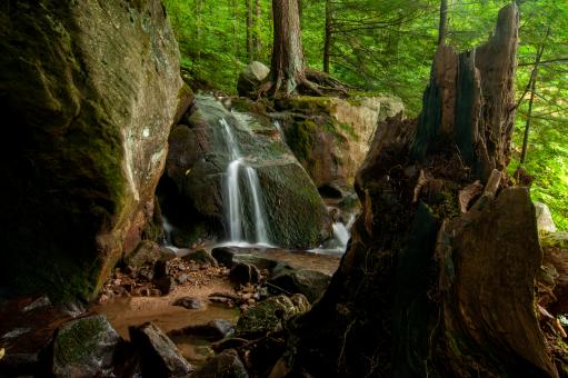 Free Stock Photo of Forest waterfall