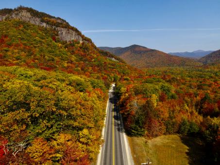 Free Stock Photo of Fall autumn road
