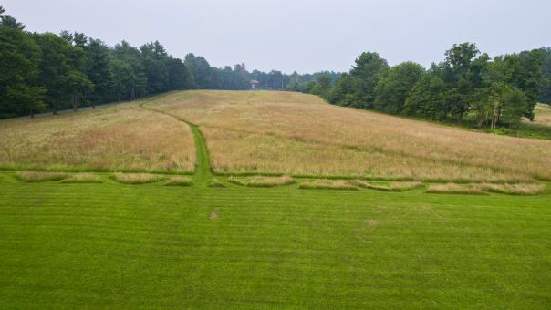 Free Stock Photo of Grassy field
