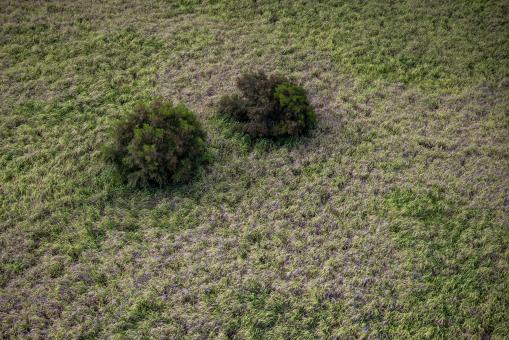 Free Stock Photo of Dry landscape aerial