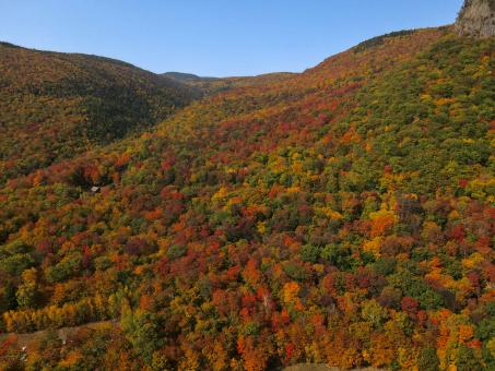 Free Stock Photo of Scenic Fall Mountain