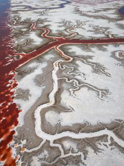Free Stock Photo of Salt pond aerial