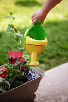 Free Stock Photo of Watering plants