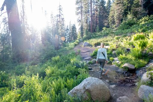 Free Stock Photo of Woman hiking nature