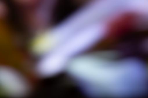 Free Stock Photo of Defocus abstract background