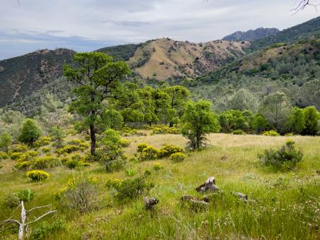 Free Stock Photo of Lush scenic landscape