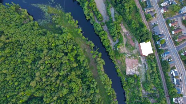 Free Stock Photo of Green Forest Aerial