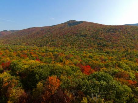 Free Stock Photo of Autumn Fall Mountain