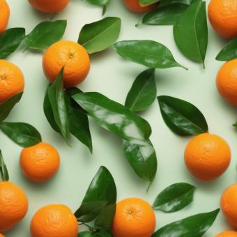 Free Stock Photo of Fresh Orange With Green Leaves