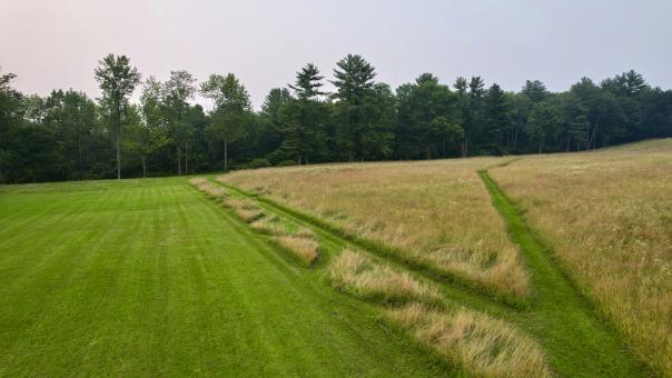 Free Stock Photo of Rural Grassy Field 