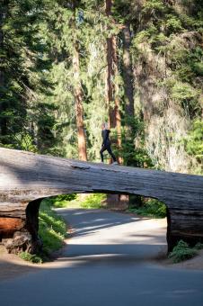 Free Stock Photo of Woman hiking