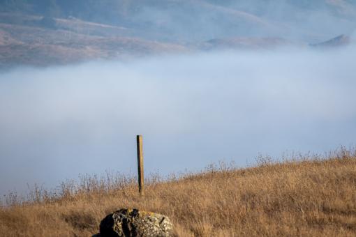 Free Stock Photo of Foggy landscape