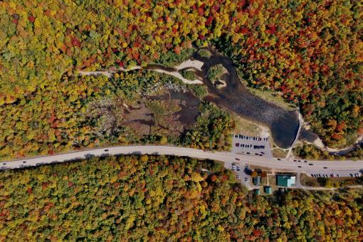 Free Stock Photo of Fall foliage aerial