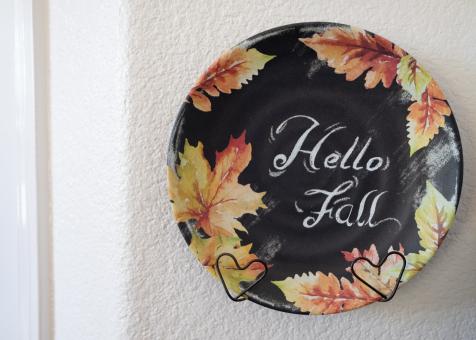Free Stock Photo of Decorative diner plate