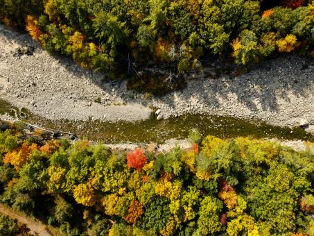Free Stock Photo of Fall forest aerial
