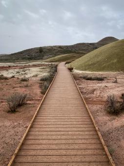 Free Stock Photo of Rural walking path