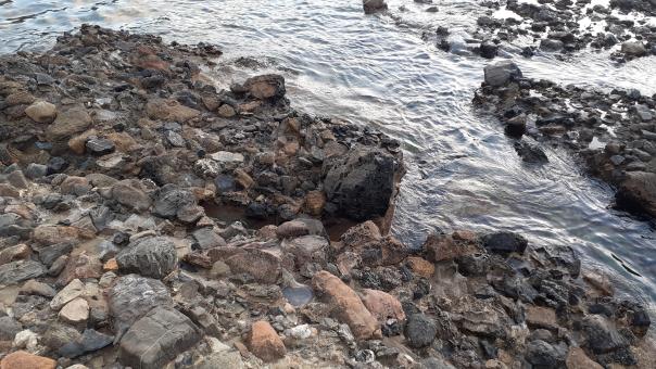 Free Stock Photo of Rocky Shoreline Serenity