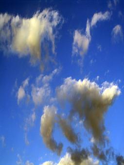 Cotton Sky - Free Stock Photo