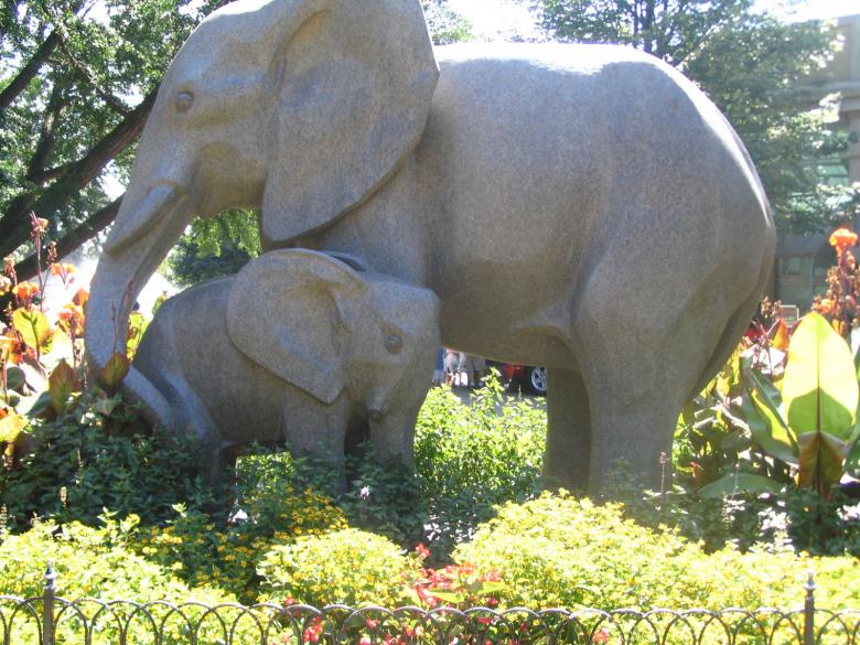 Free stock image of Elephant Love created by dawn c. thomas