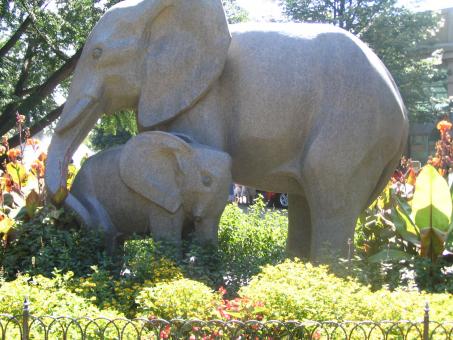 Elephant Love - Free Stock Photo