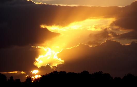 Beauty of nature - Free Stock Photo