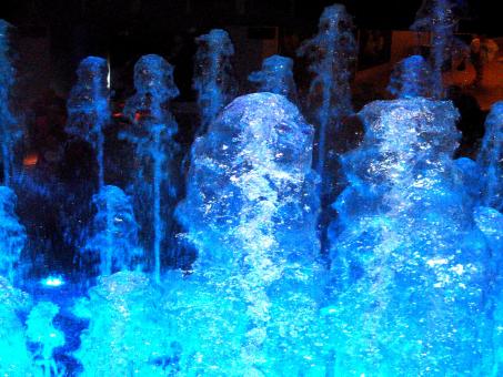 Waterdrops Delight - Free Stock Photo