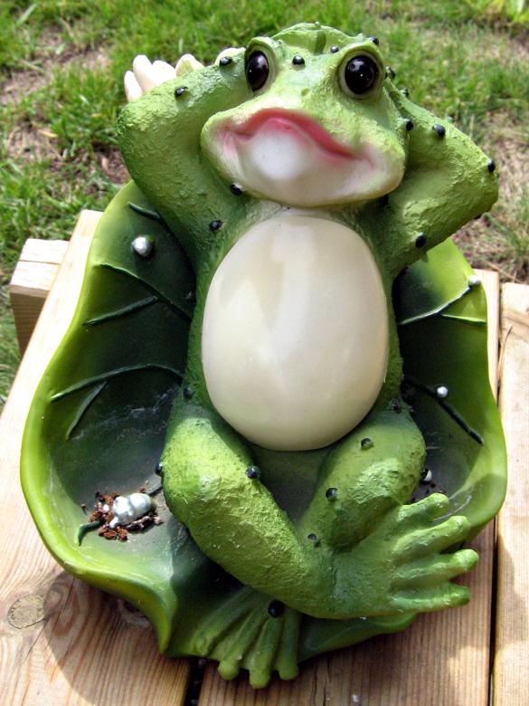 Free stock image of Plastic Frog created by Bent Arvesen