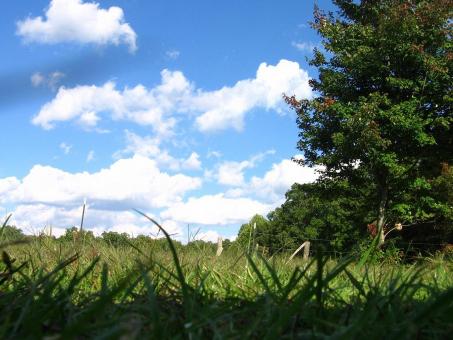 Blue skies, green grass - Free Stock Photo