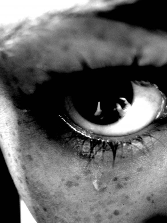 Free stock image of Eye See You created by tida bradshaw