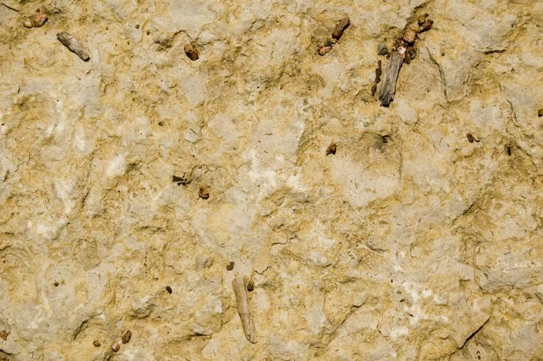 Free stock image of Solid Surface created by angela sajek