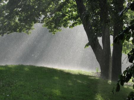 SunShower - Free Stock Photo