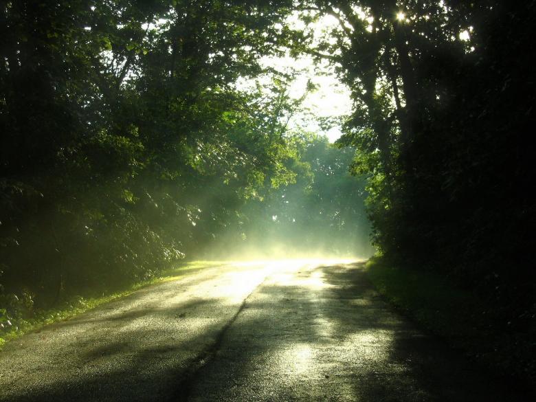 Free stock image of This Way created by shawn maxfield