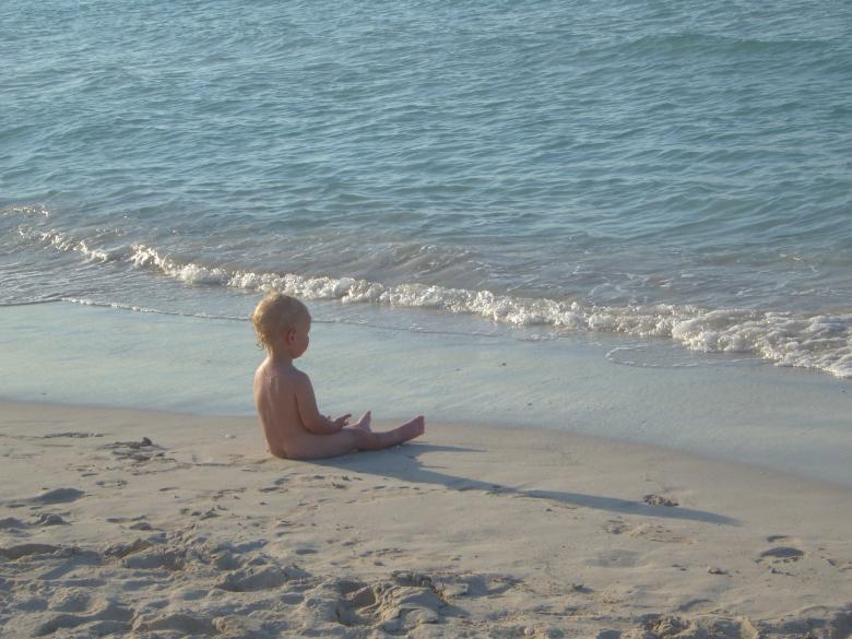 Free stock image of Troy and the ocean created by kate litchak