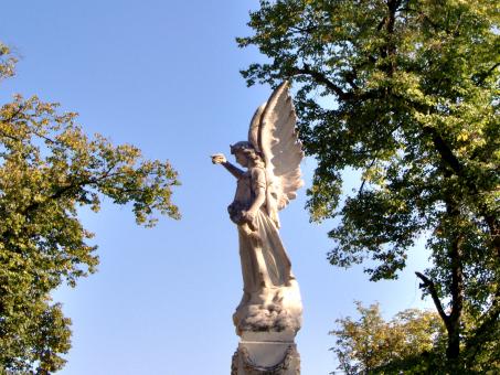Watching Over You - Free Stock Photo