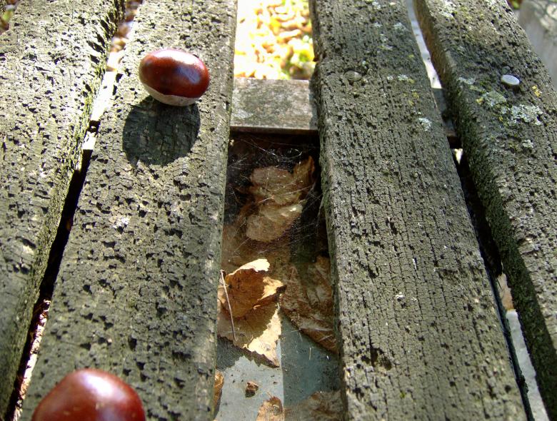 Free stock image of Fence... or Bench created by alexandra