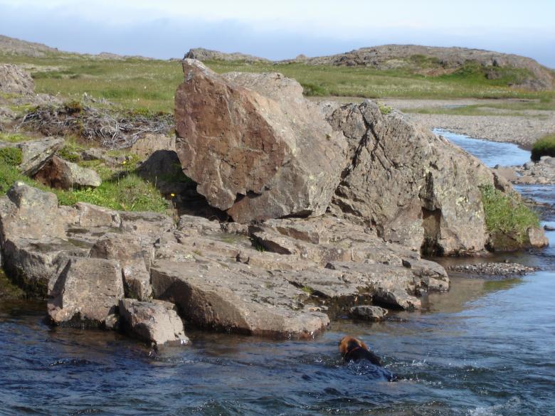 Free stock image of River and stone created by eddi