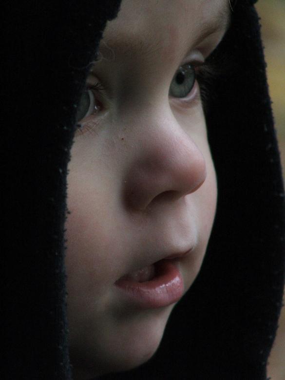 Free stock image of Wondering Child created by Heather Elaine Kitchen