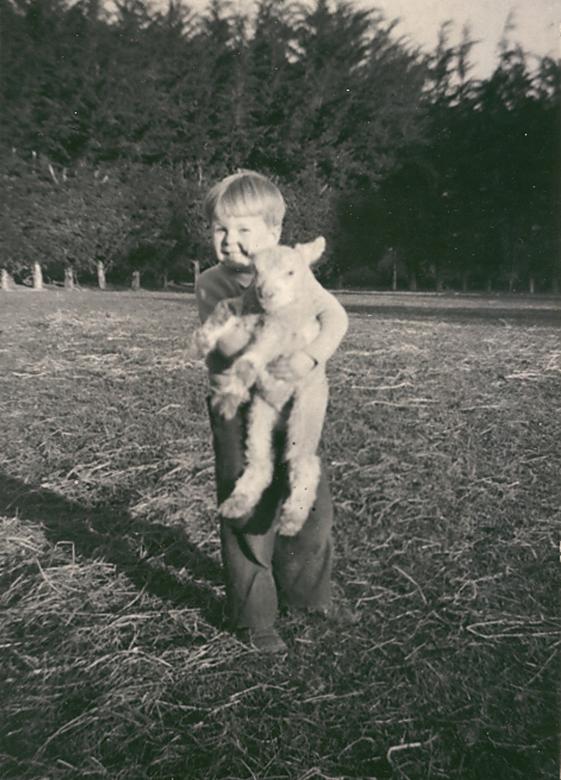 Free stock image of Lamb at Taitapu created by Peter Alexander Robb