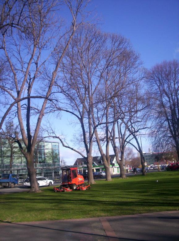 Free stock image of Autumn mower created by Peter Alexander Robb