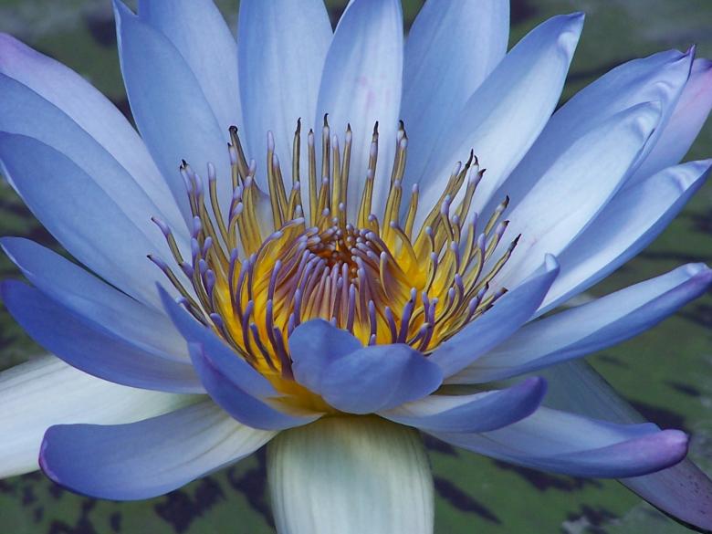 Free stock image of Hint Of Blue created by kimberly rintz