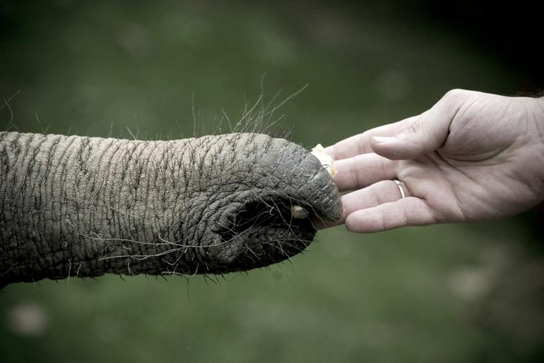 Free stock image of The Big Small created by maurizio palumbo