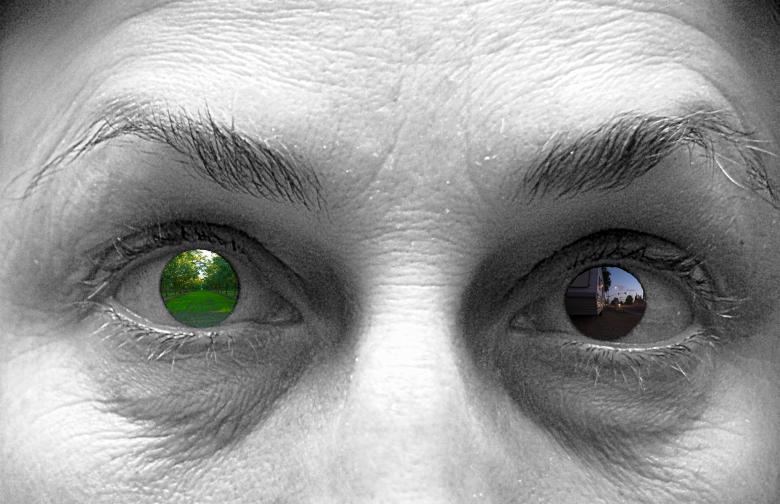 Free stock image of Homeless Mind's Eyes created by j. l. johnson