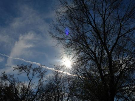 Fall sky - Free Stock Photo