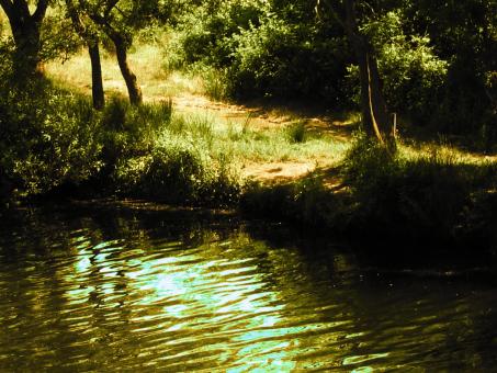 River - Free Stock Photo