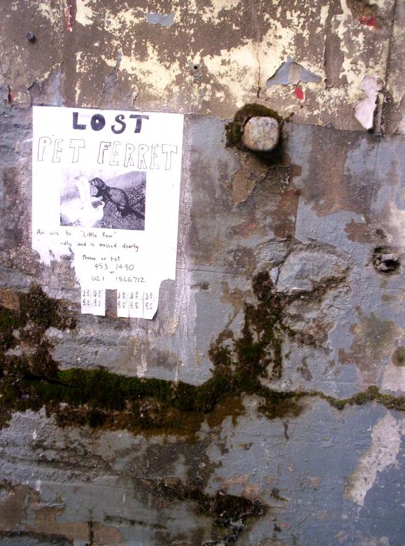 Free stock image of LOST created by Peter Alexander Robb