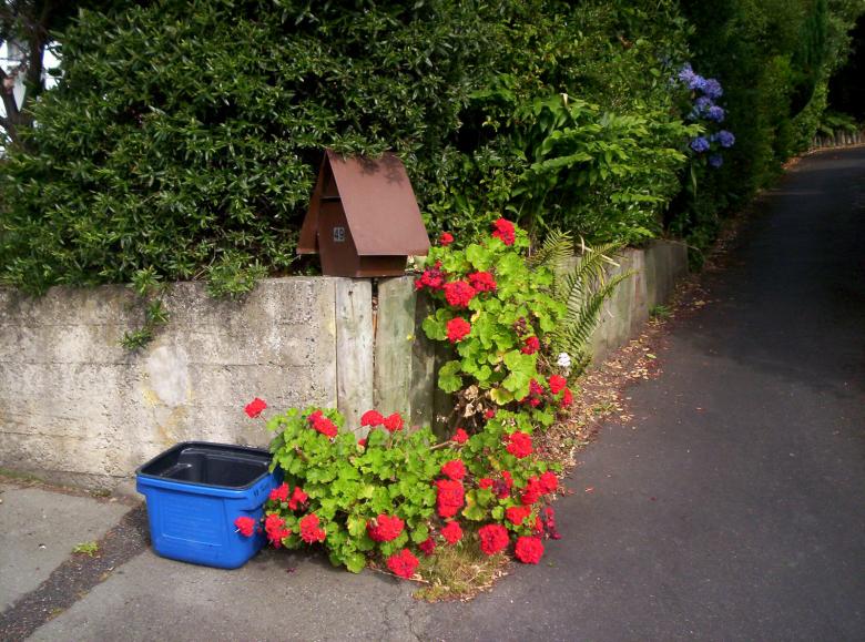 Free stock image of Tweed recycling Letterbox and Geraniums created by Peter Alexander Robb