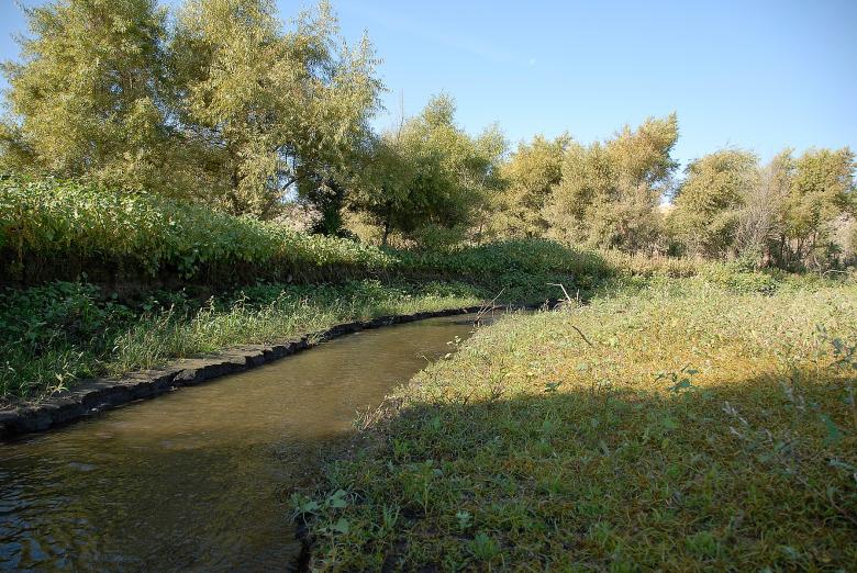 Free stock image of Waterway to the Lake created by j. l. johnson